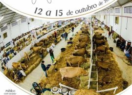 Expojersey 2021 - Alteração da data de entrada dos animais alterada para dia 13/12/2021