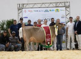 Expojersey 2021 marcou a retomada das exposições presenciais em Braço do Norte