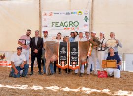 Feagro 2022