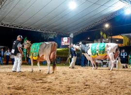 ExpoFemi 2022 superou expectavivas e comemora o sucesso da feira