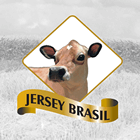 gadojerseybr.com.br